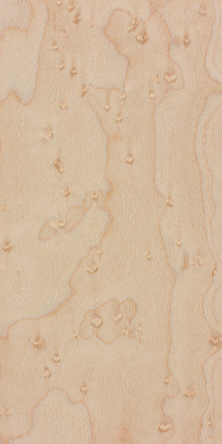 Maple: Birds Eye