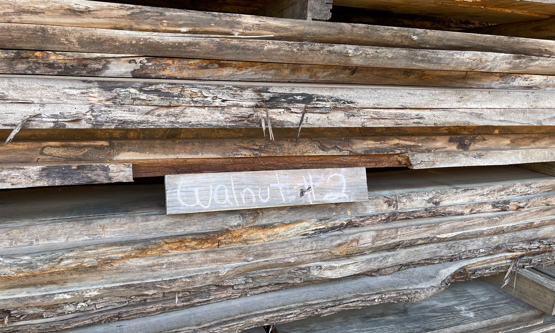 SHED #7
