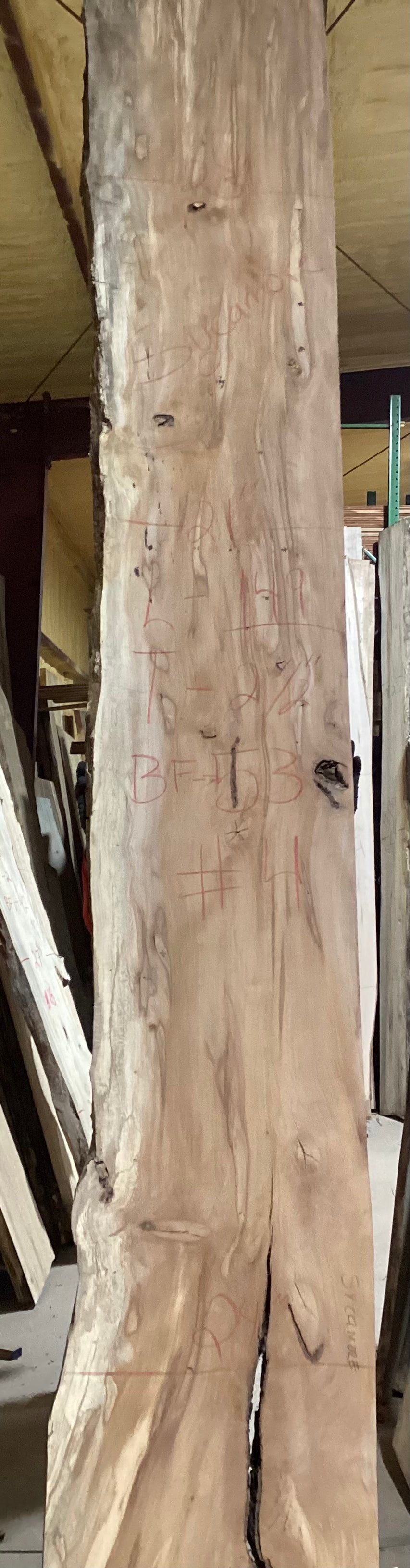 Sycamore Slabs