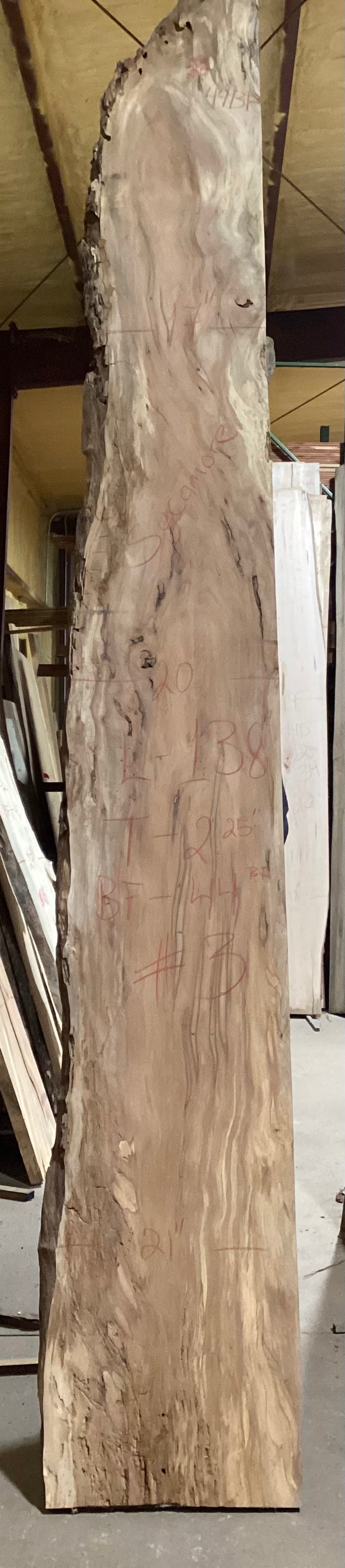Sycamore Slabs