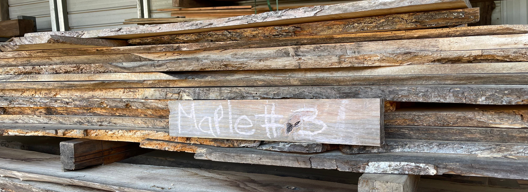 SHED #7
