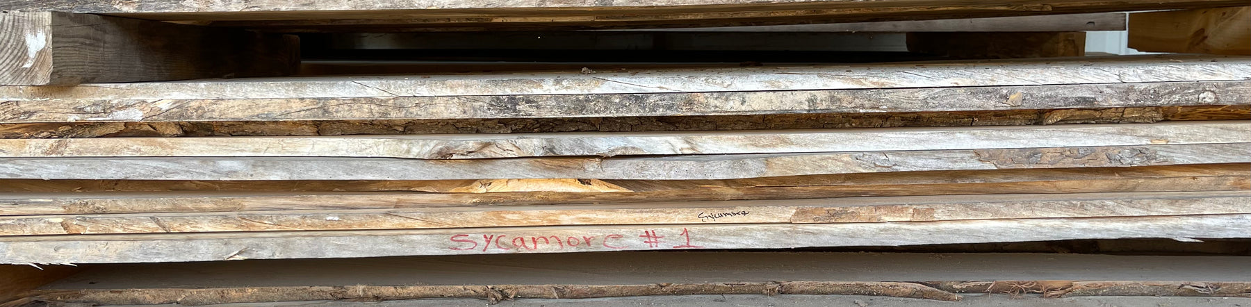 SHED #7