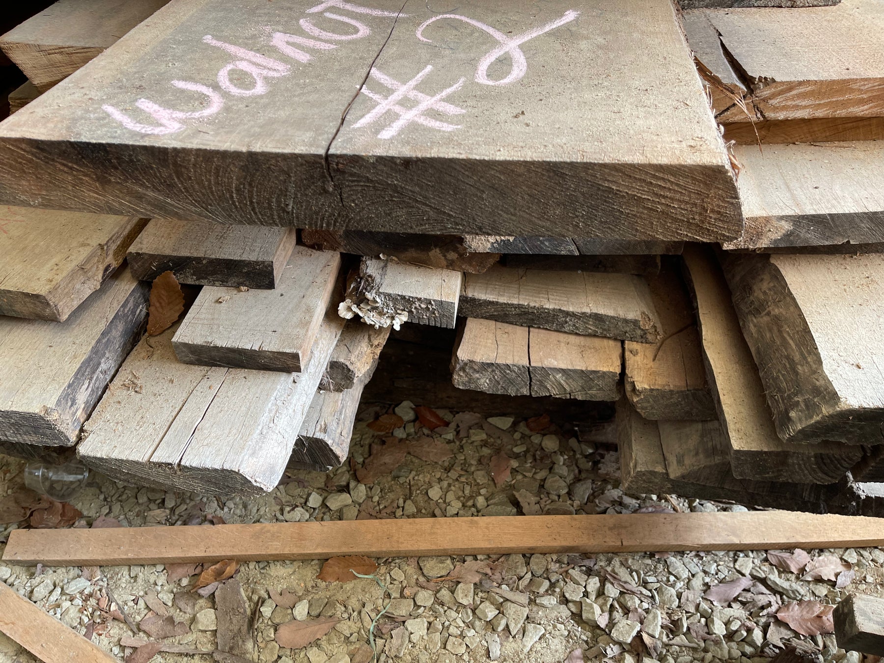 SHED #1 KILN DRY