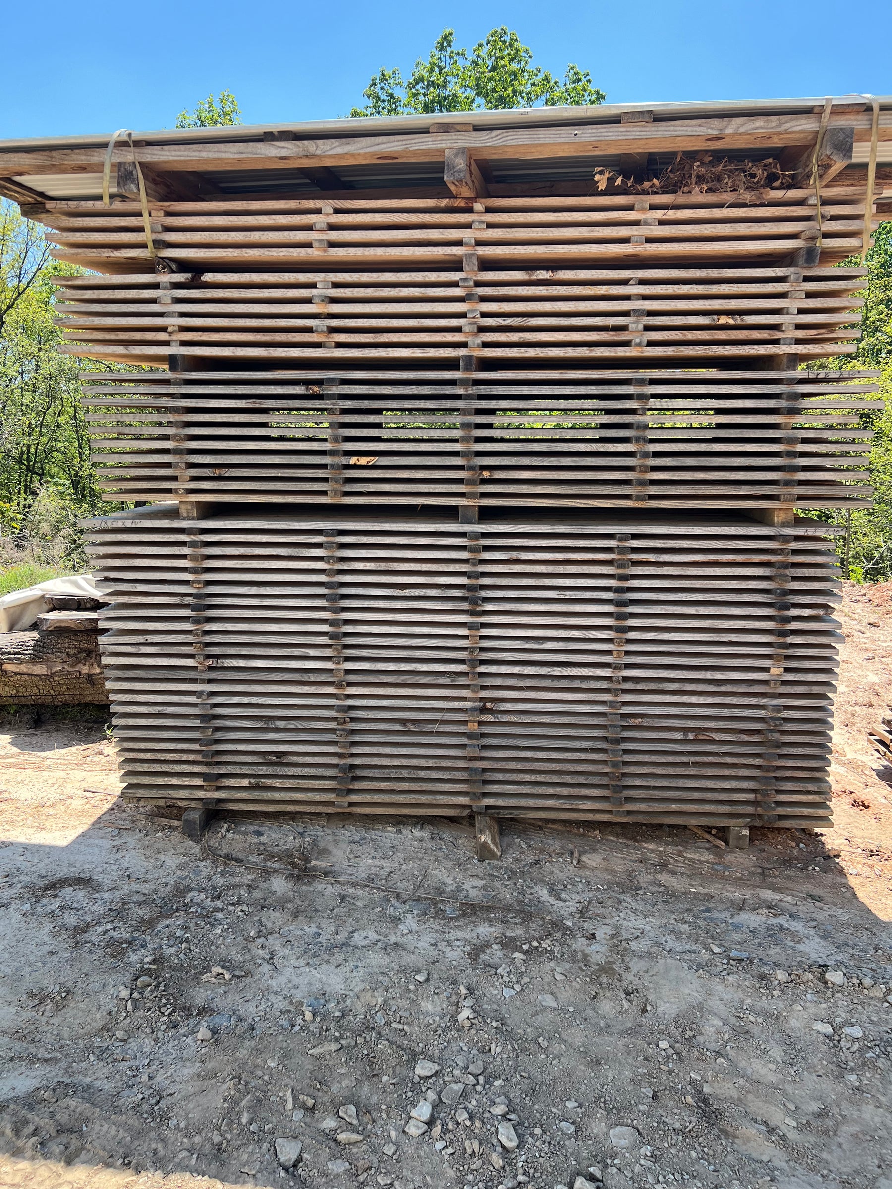Wholesale Circular Sawn Pine #1