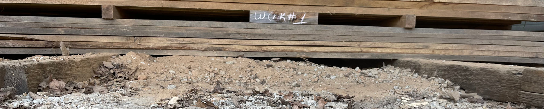 SHED #7