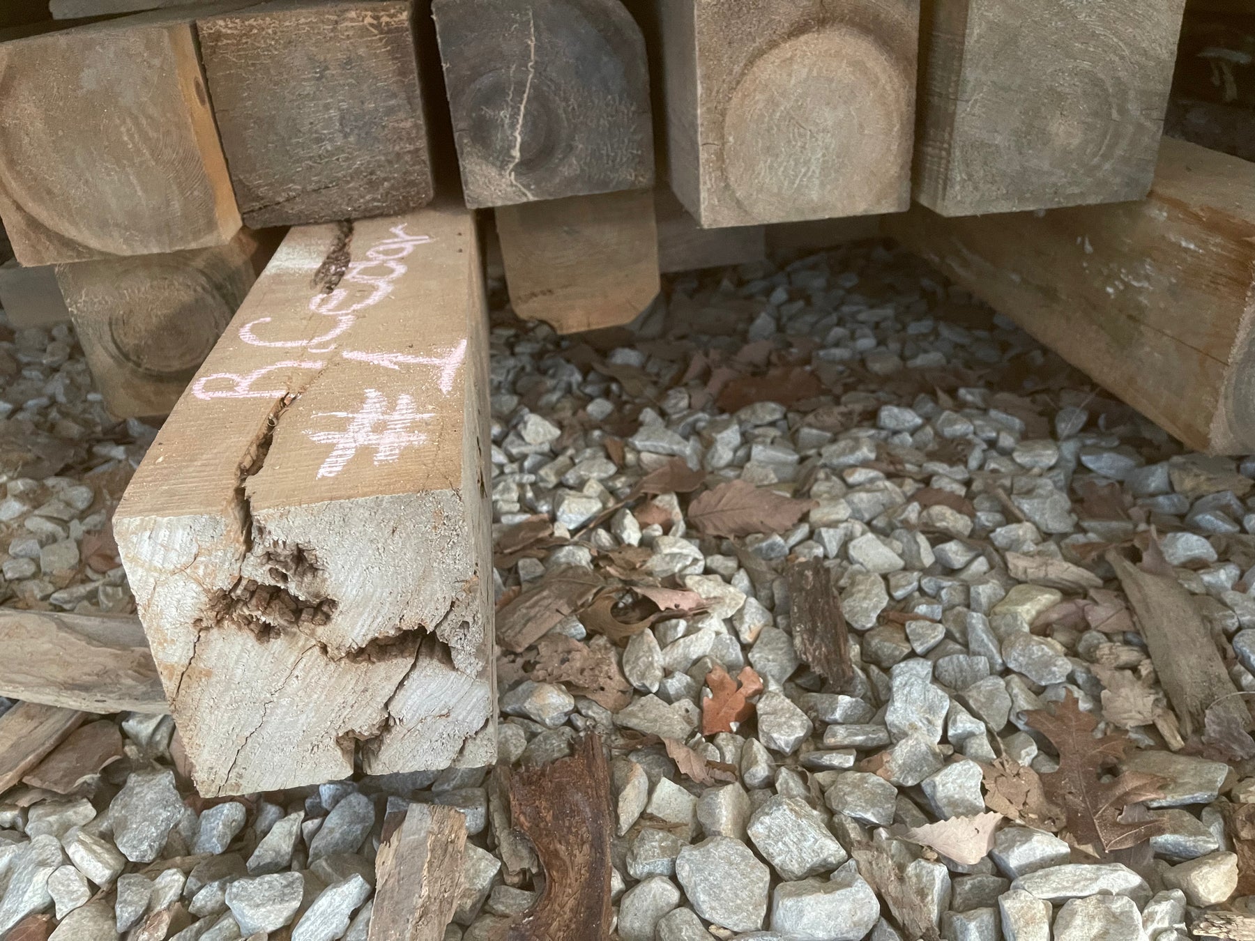 SHED #2 KILN DRY