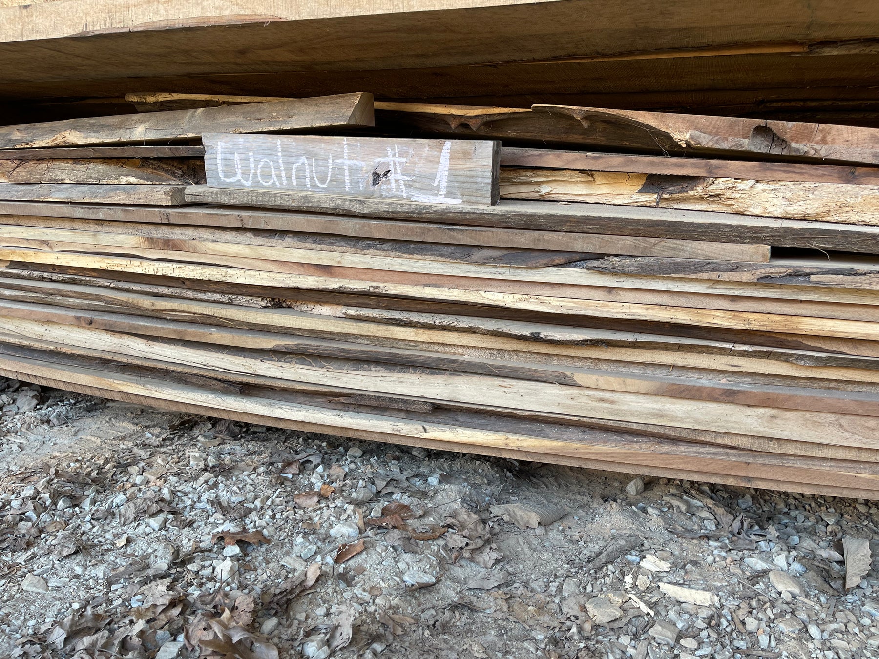 SHED #7