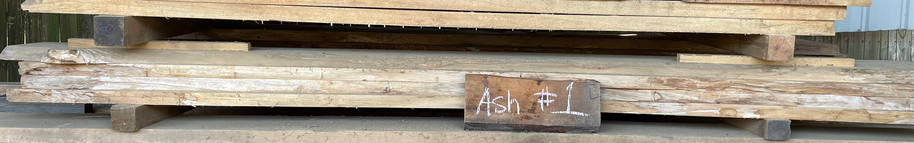 SHED #7