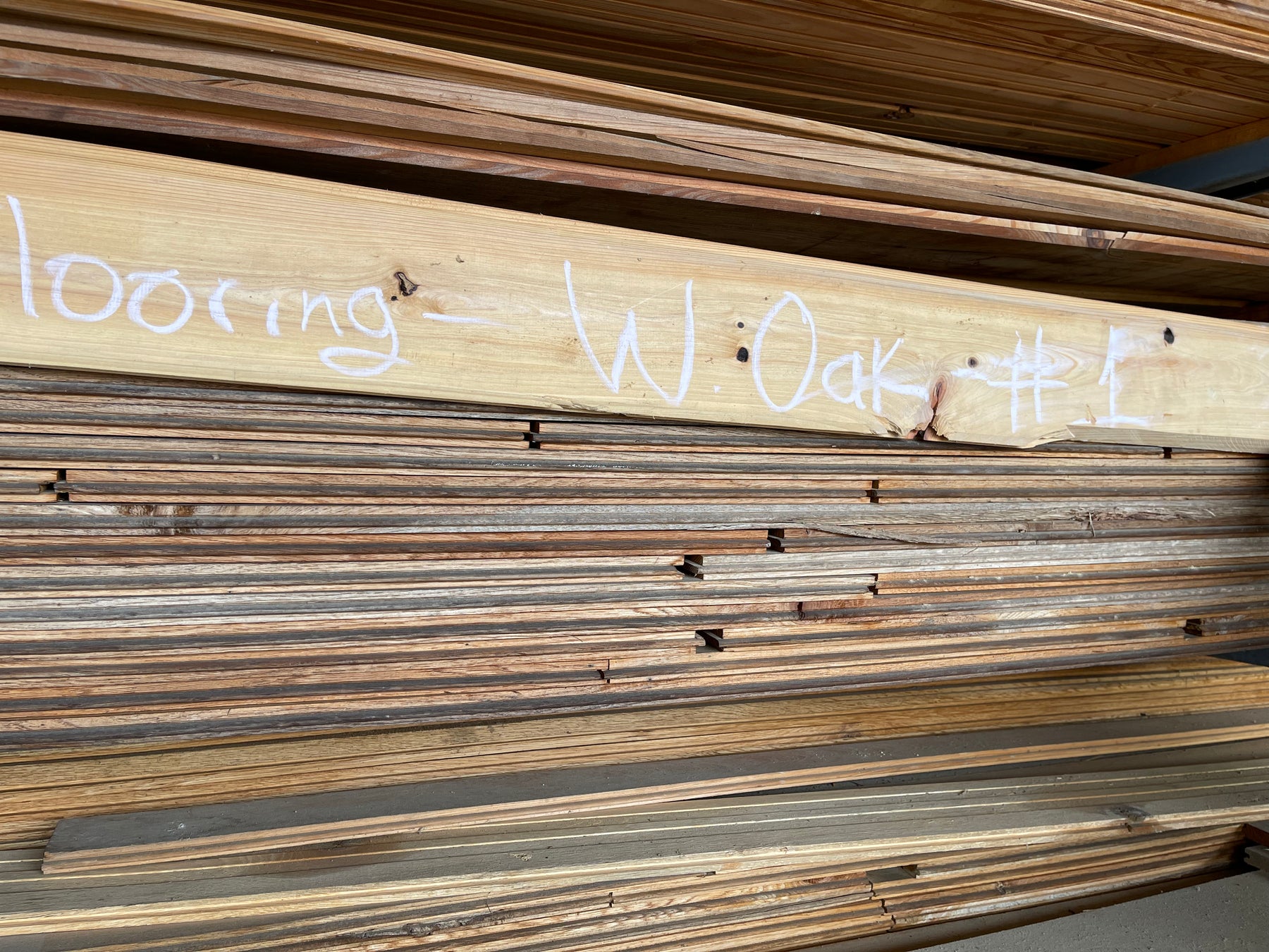 SHED #5