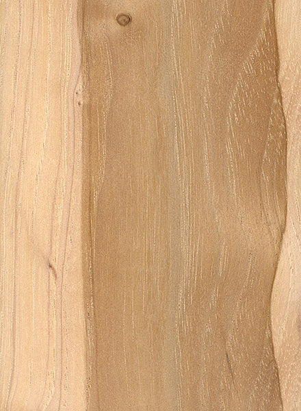 Pecan