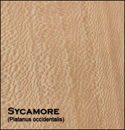 Sycamore 4/4, 8/4, QTR Sawn 4/4, 5/4