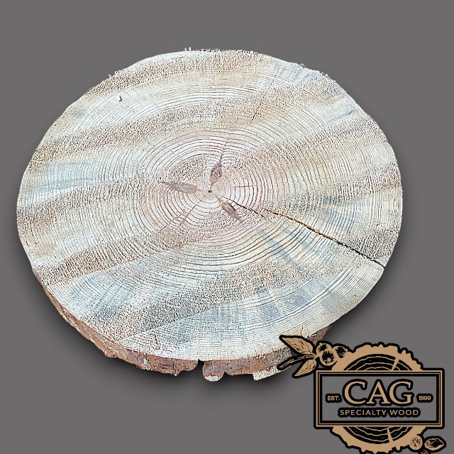 Yellow Pine Crosscut Cookie