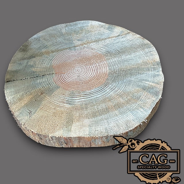 Yellow Pine Crosscut Cookie