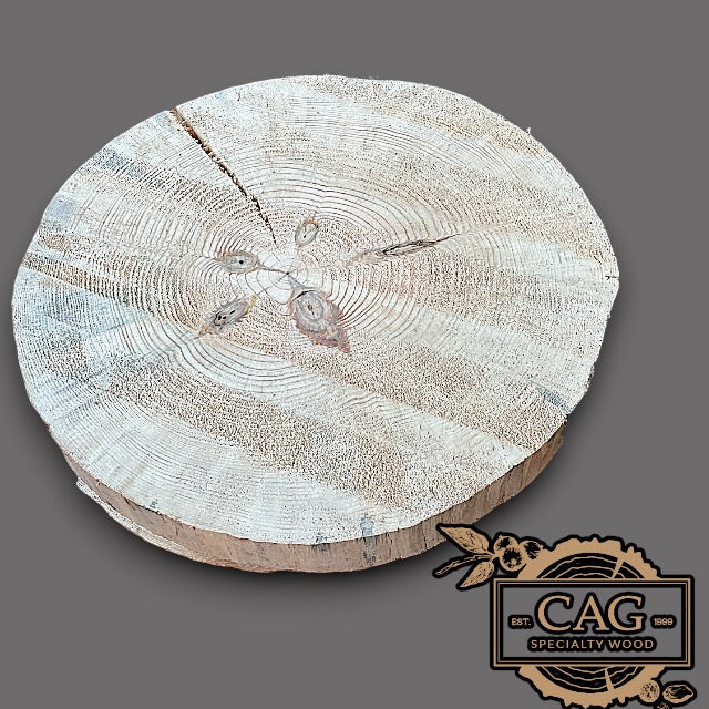 Yellow Pine Crosscut Cookie