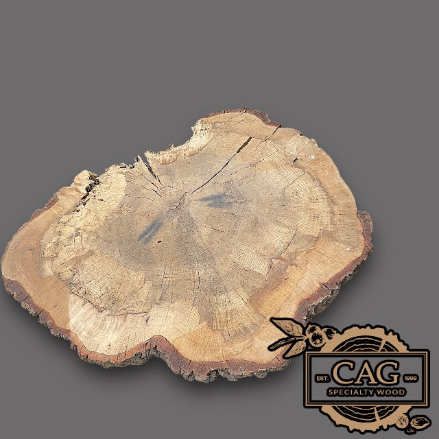 White Oak & Red Oak Crosscut Cookies