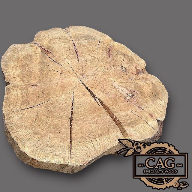 White Oak & Red Oak Crosscut Cookies