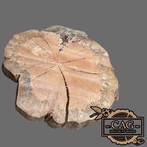 White Oak & Red Oak Crosscut Cookies