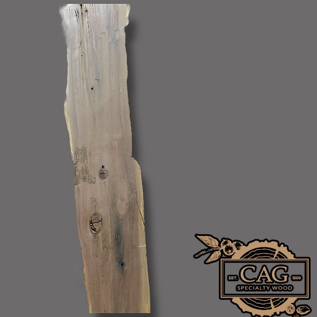 Walnut Slabs 400-499