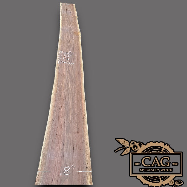Walnut Slabs 500-599
