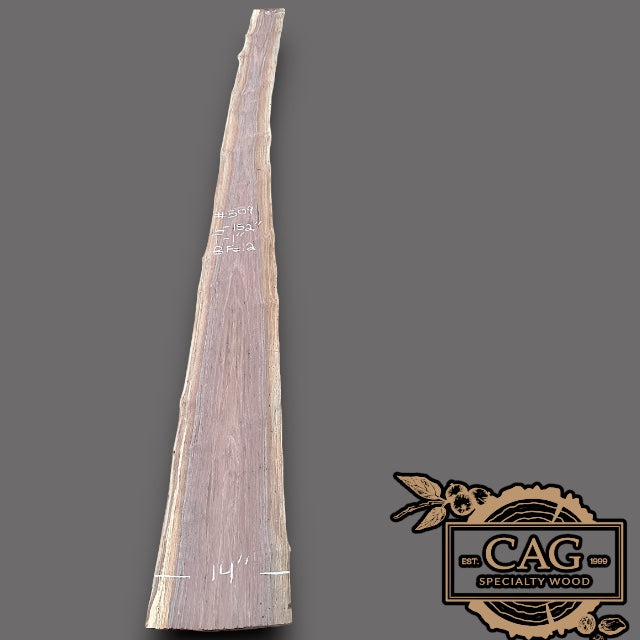 Walnut Slabs 500-599