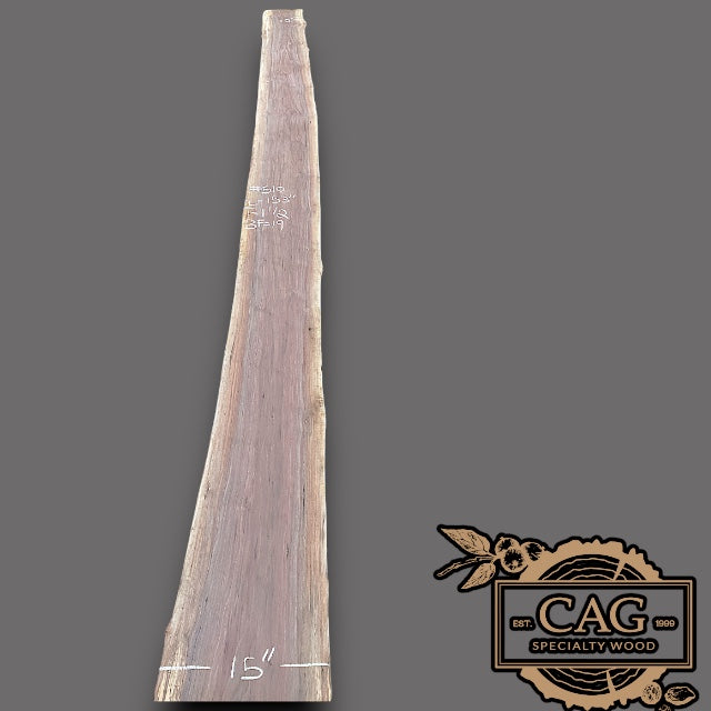 Walnut Slabs 500-599