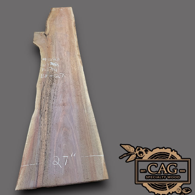 Walnut Slabs 500-599