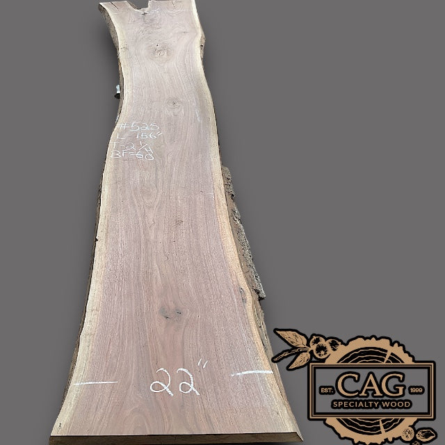 Walnut Slabs 500-599