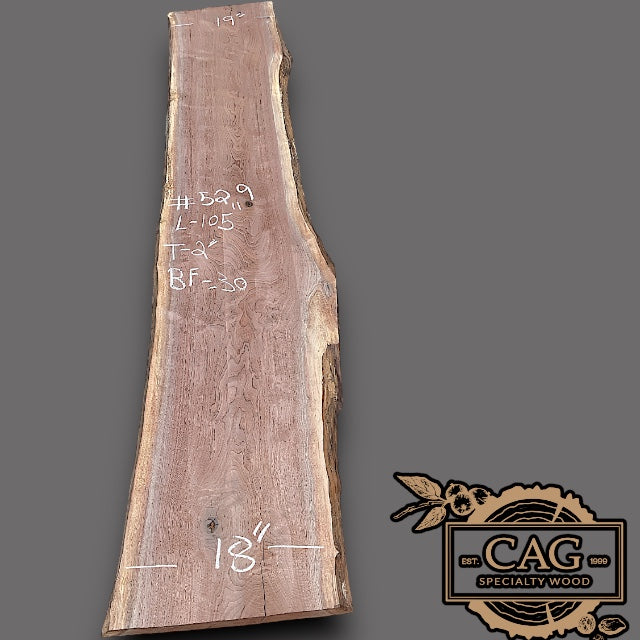Walnut Slabs 500-599