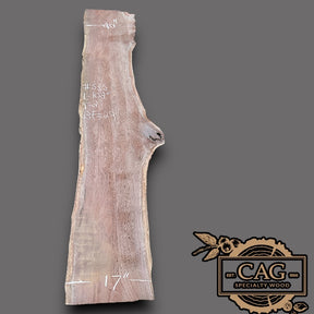 Walnut Slabs 500-599