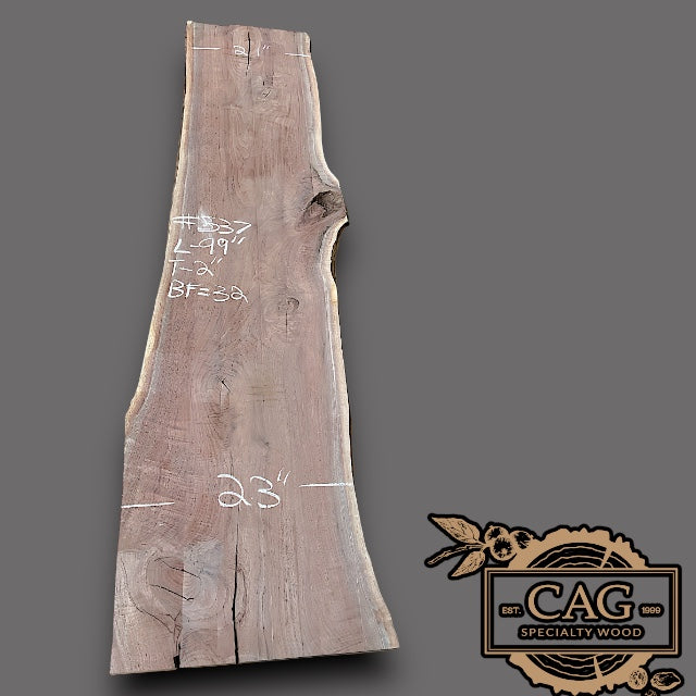 Walnut Slabs 500-599