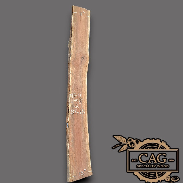 Walnut Slabs 500-599