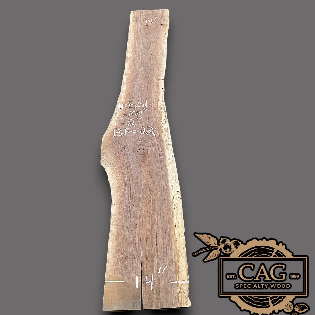 Walnut Slabs 500-599