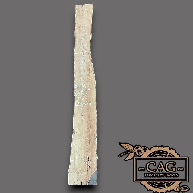 Osage Orange Slabs
