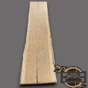 White Oak Slabs #101-200