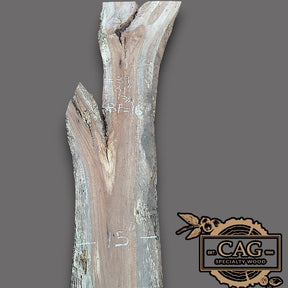 Pecan Slabs