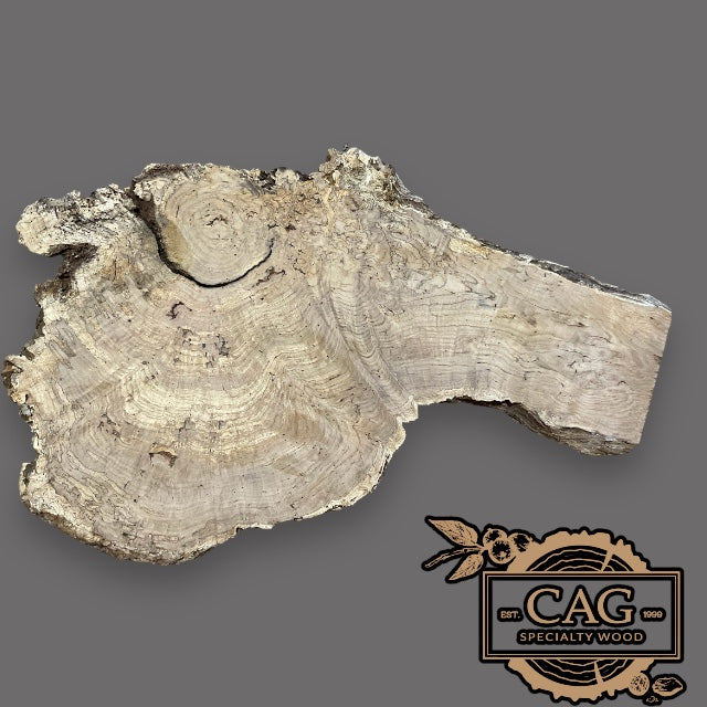 White Oak Burls