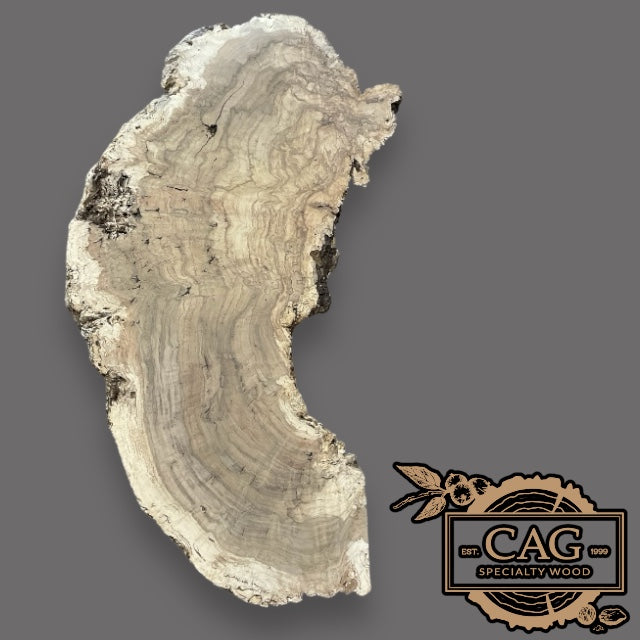 White Oak Burls