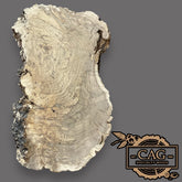 White Oak Burls