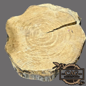 White Oak & Red Oak Crosscut Cookies