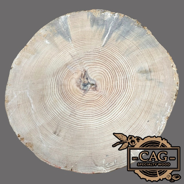 Yellow Pine Crosscut Cookie