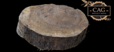 Black Walnut Crosscut Cookies / Rounds / Crosscuts