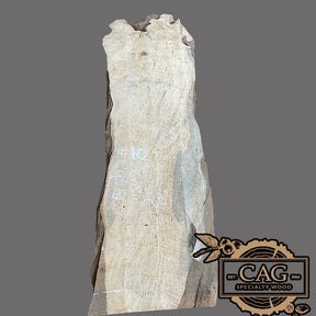 Flaming Red Box Elder Slabs
