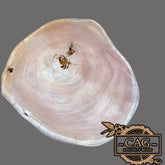 Exotic Crosscut's