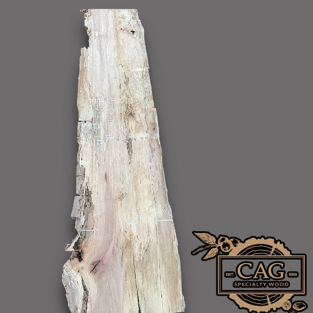 Hickory Slabs