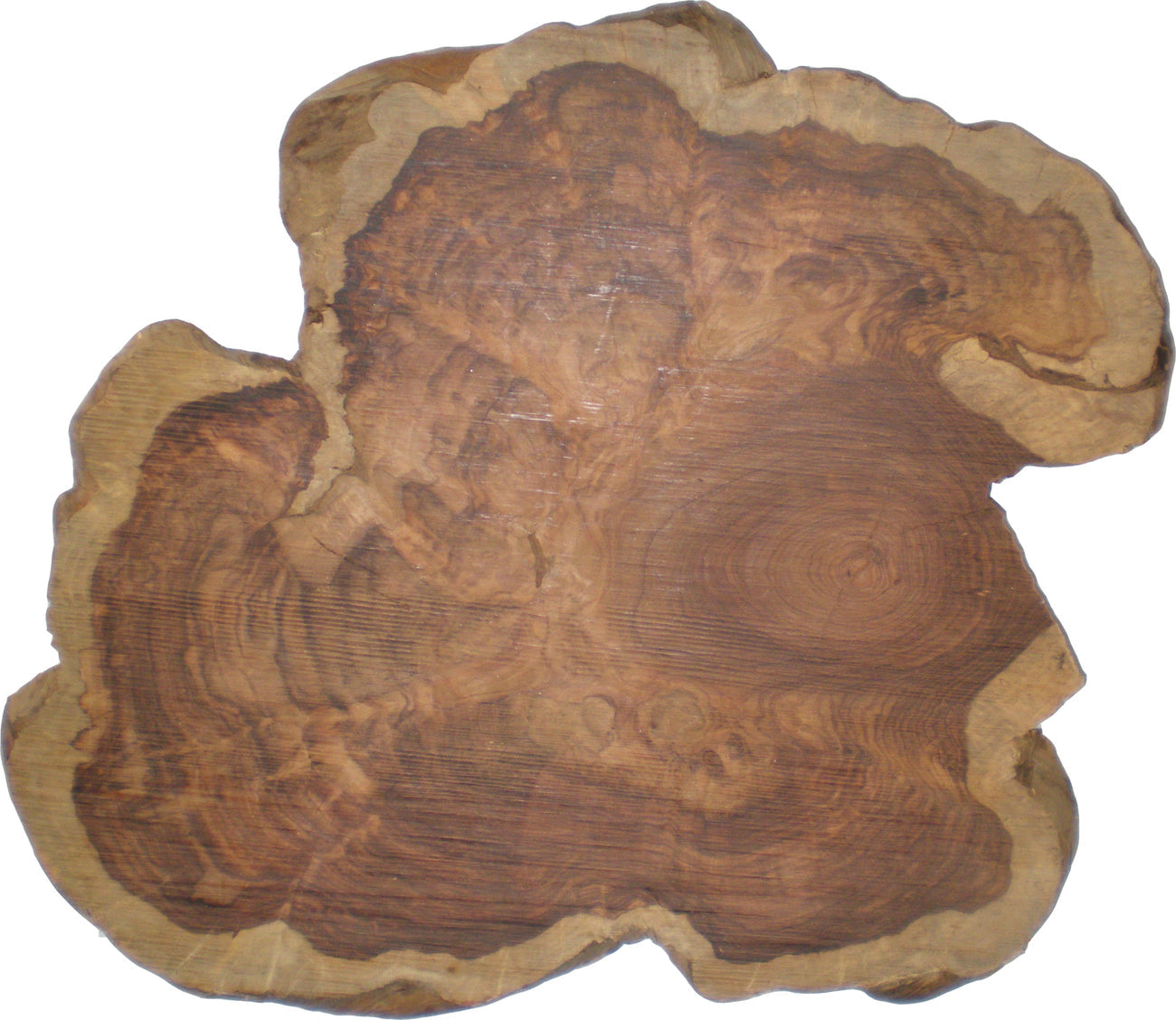 Honduran Rosewood Burls