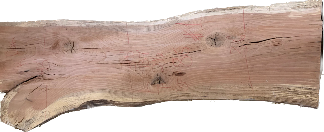 Thirteen Foot Red Oak Live Edge Wood Slab 