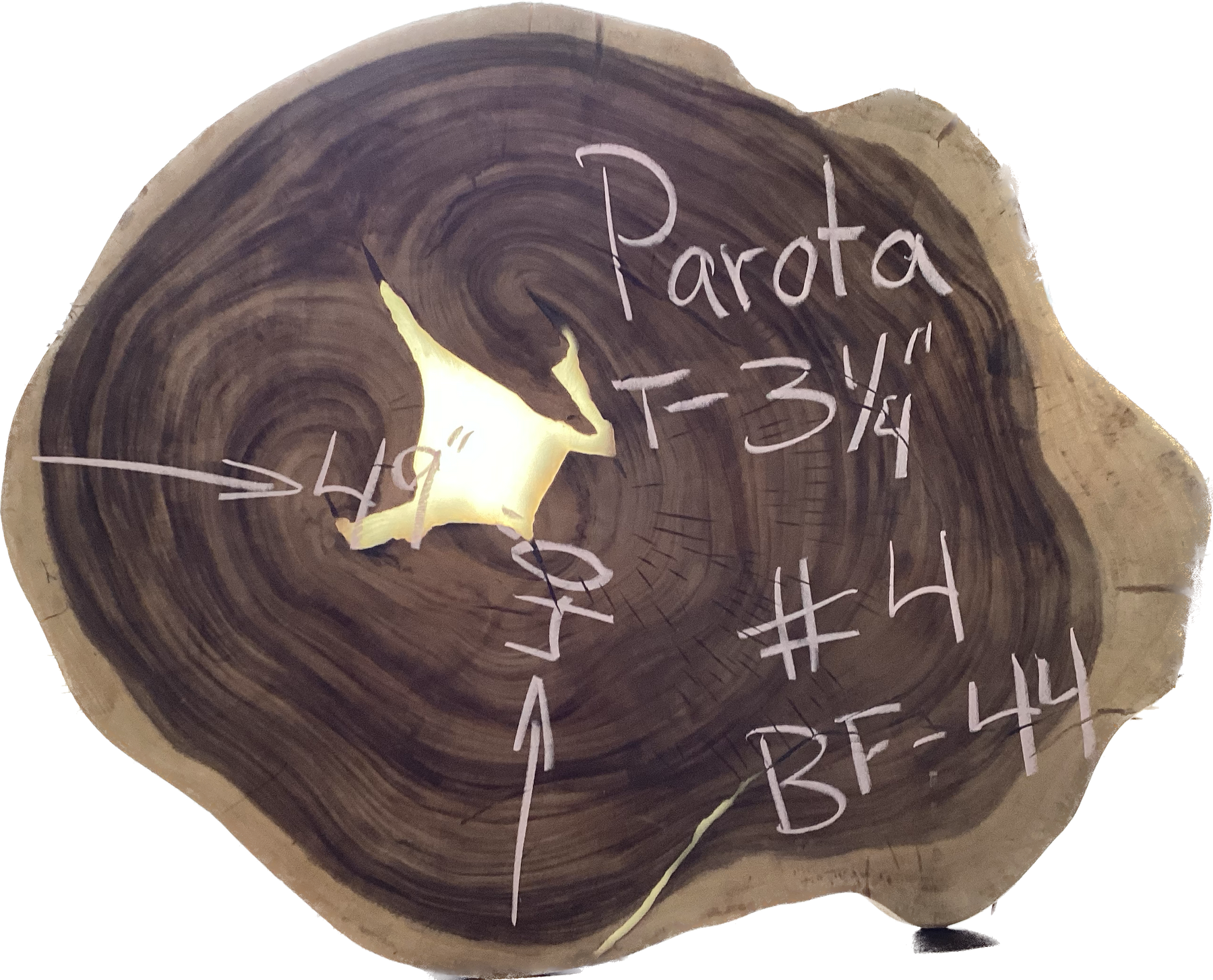 Parota Crosscuts and Rounds