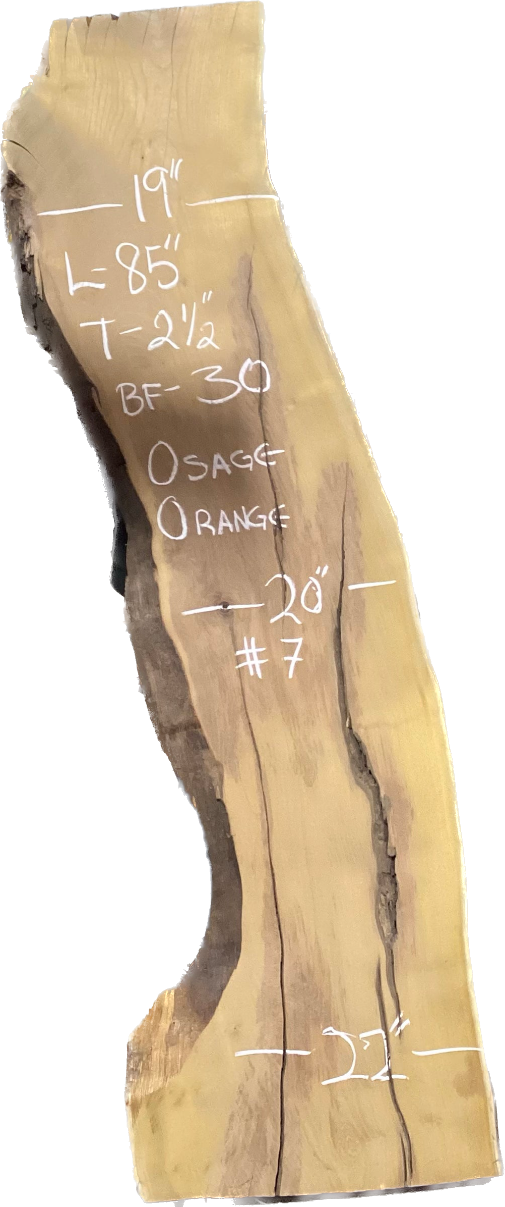 Osage Orange Slabs