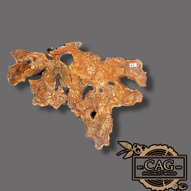 Olive Burl