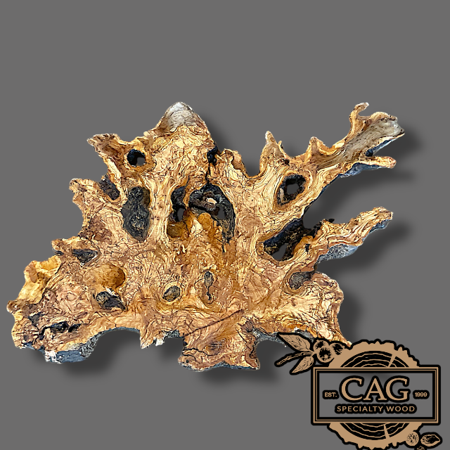 Olive Burl